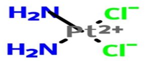 cis-二氯二氨铂（Ⅱ）.png